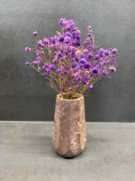 Moderni vazelė (kakava)